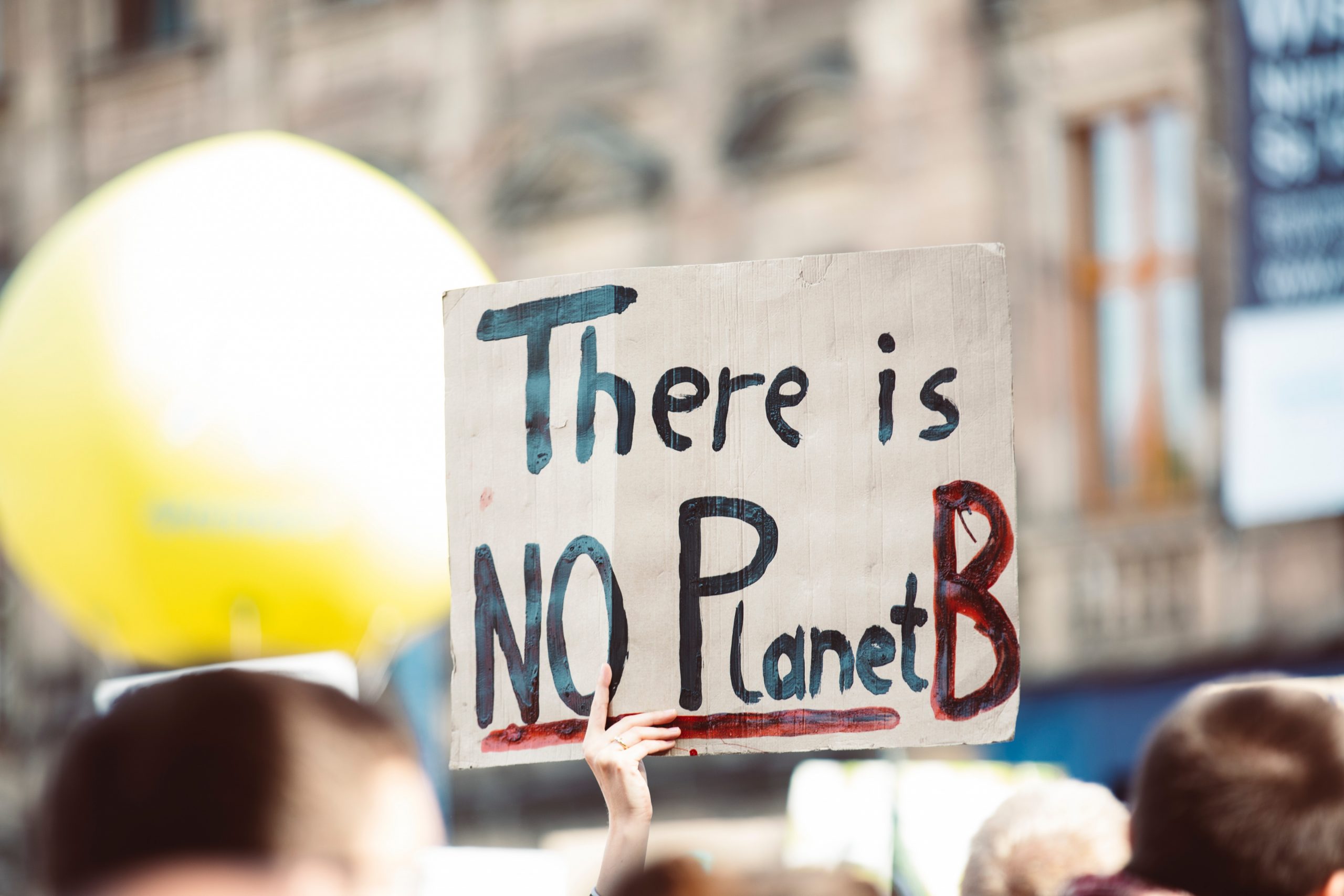 Placard reading 'there is no planet B'