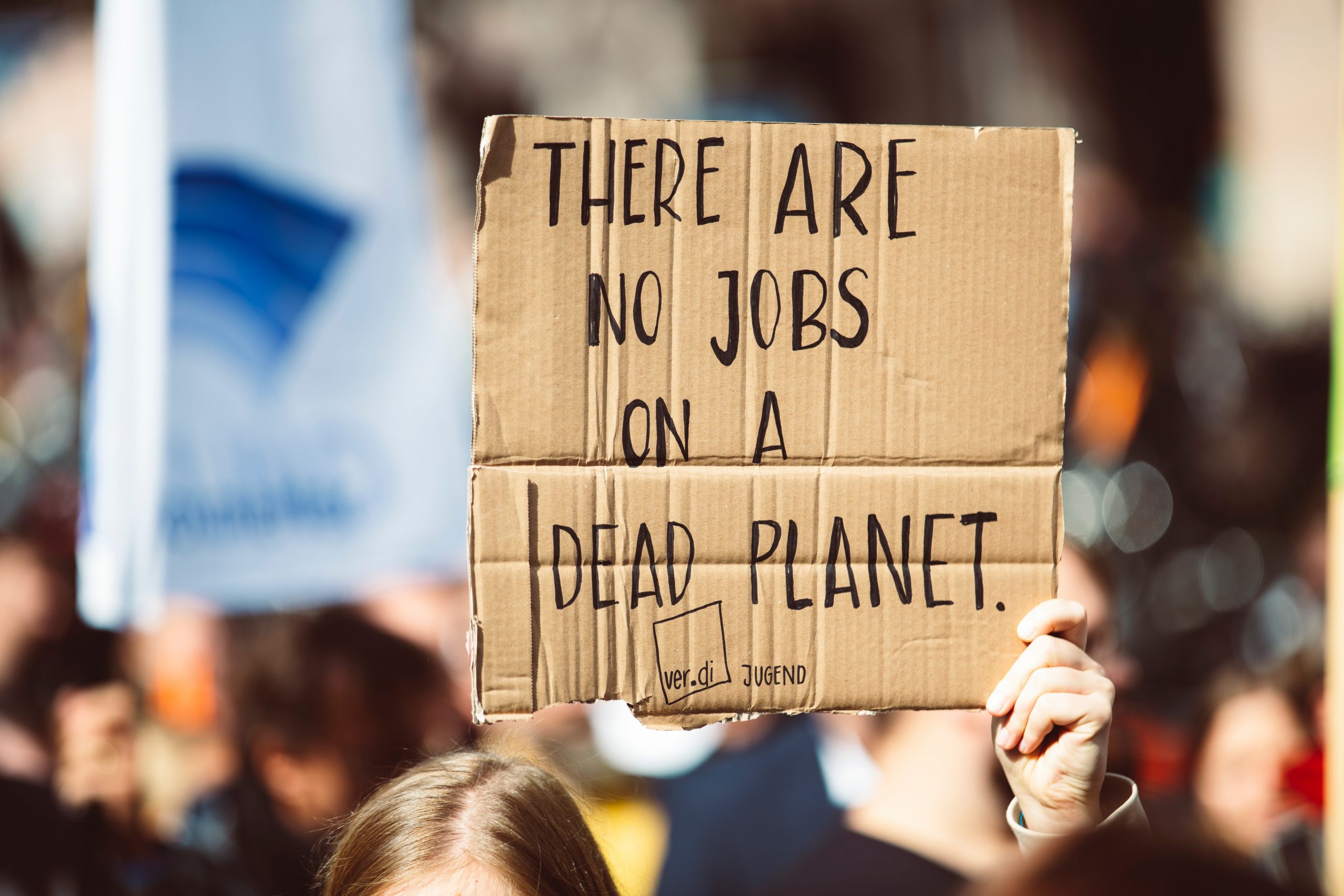 Placard reading 'there are no jobs on a dead planet'